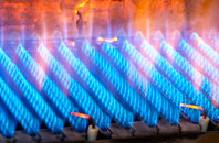Llanedwen gas fired boilers